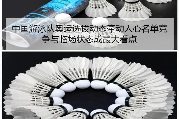 中国游泳队奥运选拔动态牵动人心名单竞争与临场状态成最大看点